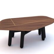 Table Basse Ashiba